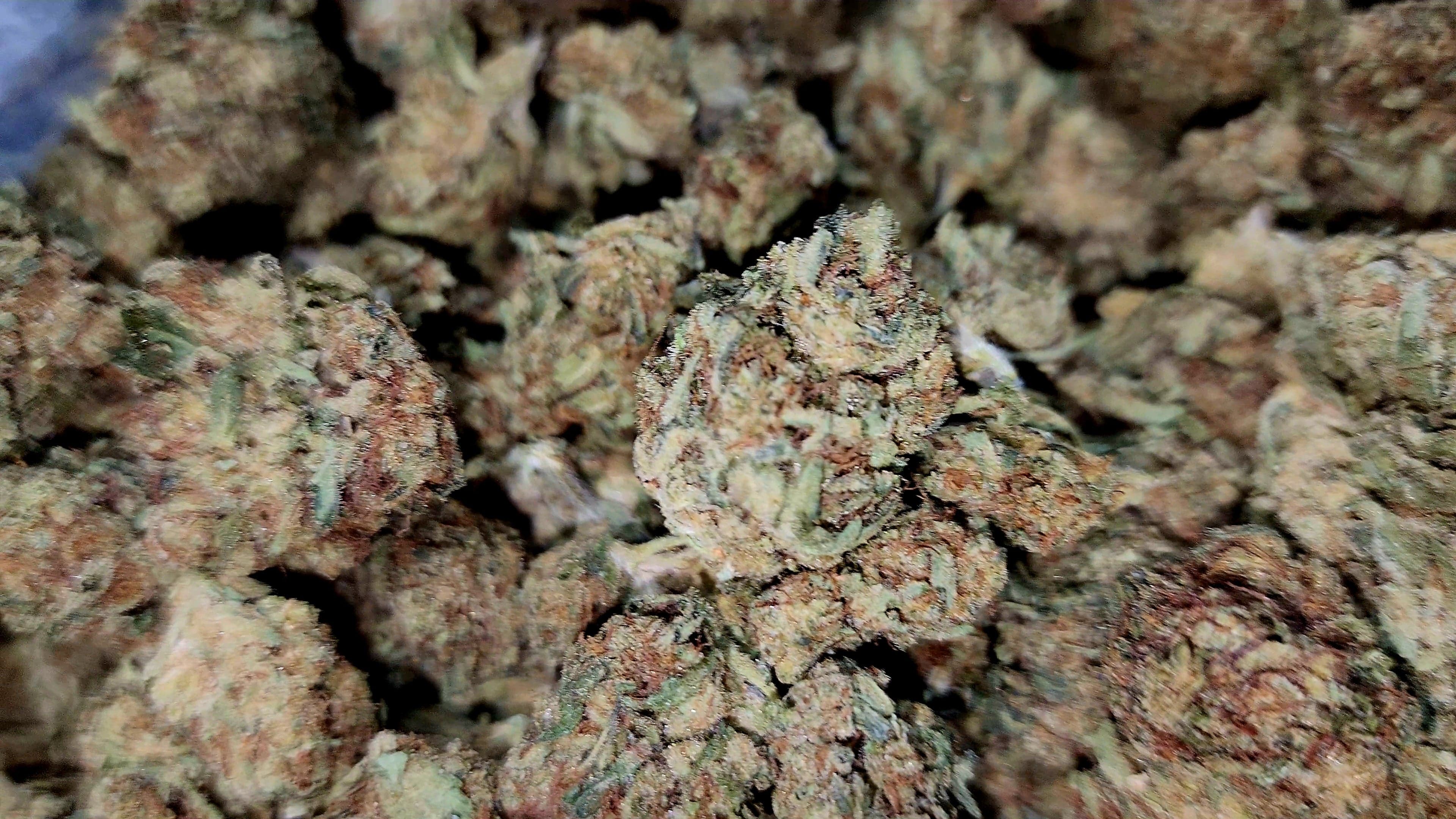 Cerebral Syrup Farms